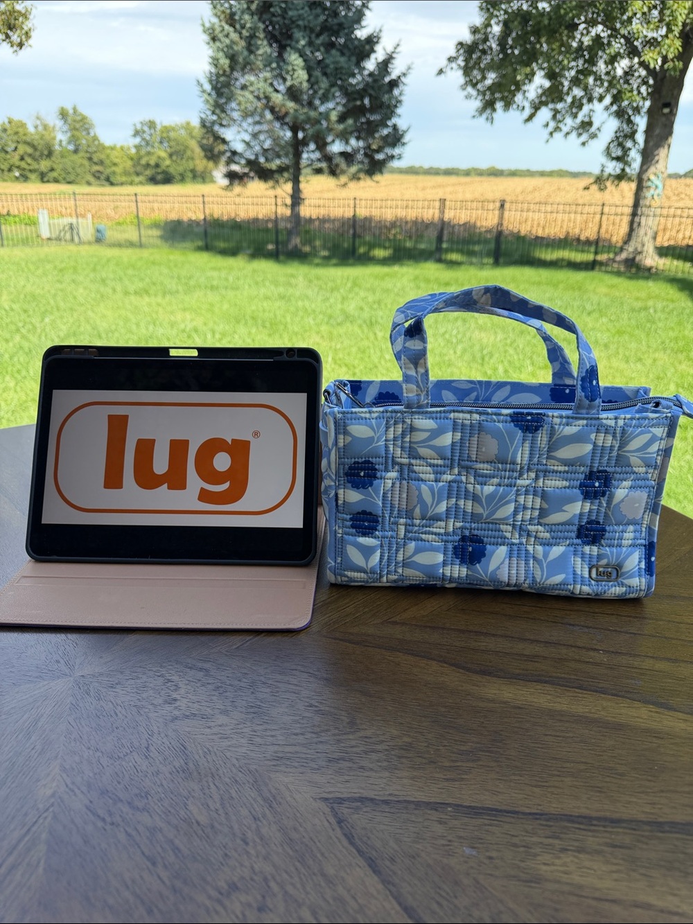 LUG Train Morning Glory Like New